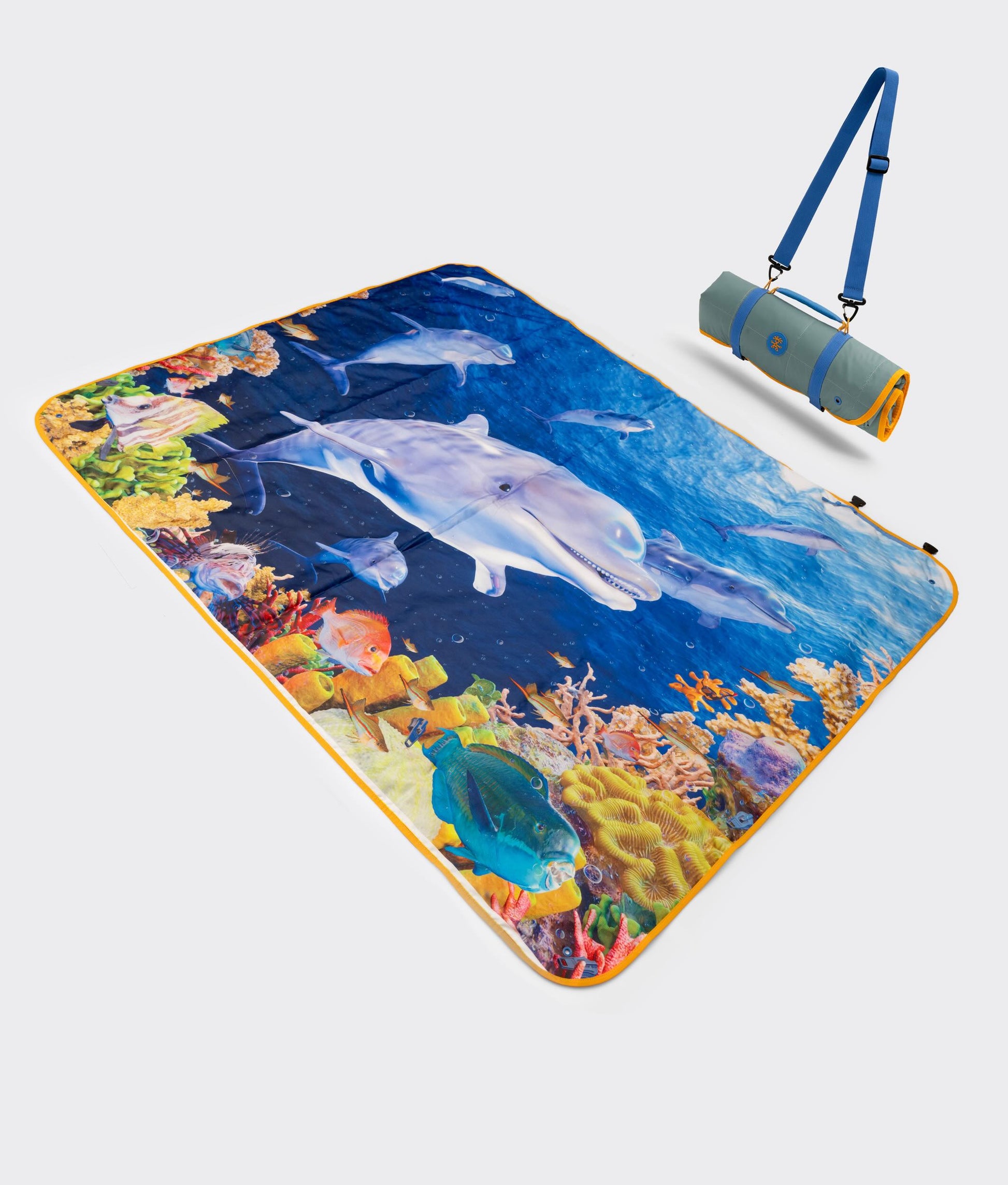 | Colour: Dolphin